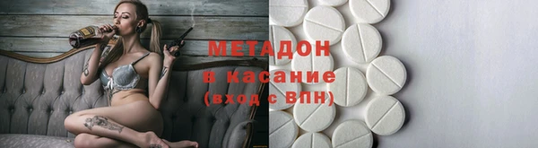 прущие грибы Осинники