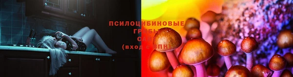 гидропоника Алексеевка