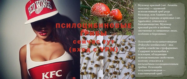 амфетамин Осташков